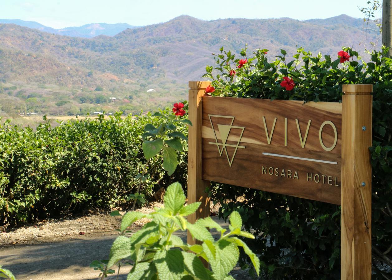 Vivo Nosara Hotel エクステリア 写真