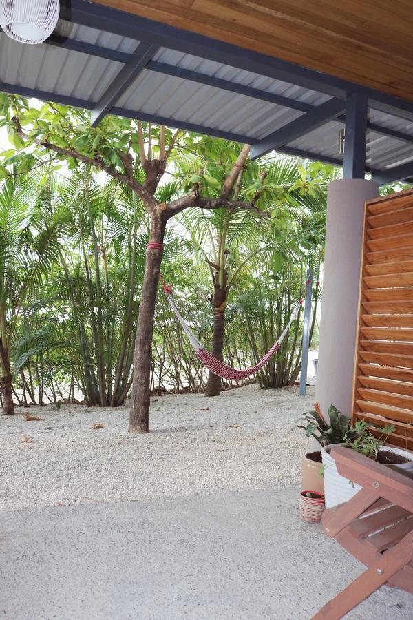 Vivo Nosara Hotel エクステリア 写真